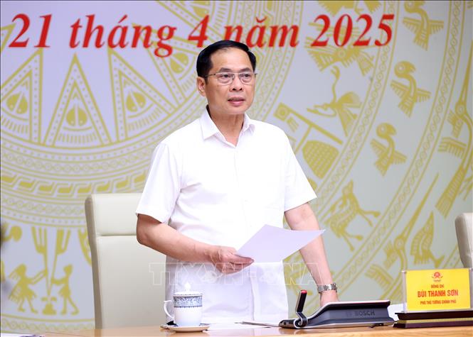 Phó Thủ tướng, Bộ trưởng Ngoại giao Bùi Thanh Sơn phát biểu chỉ đạo tại buổi gia ban quý I của BCĐ quốc gia chống buôn lậu, gian lận thương mại và hàng giả. Ảnh: Văn Điệp/ TTXVN
