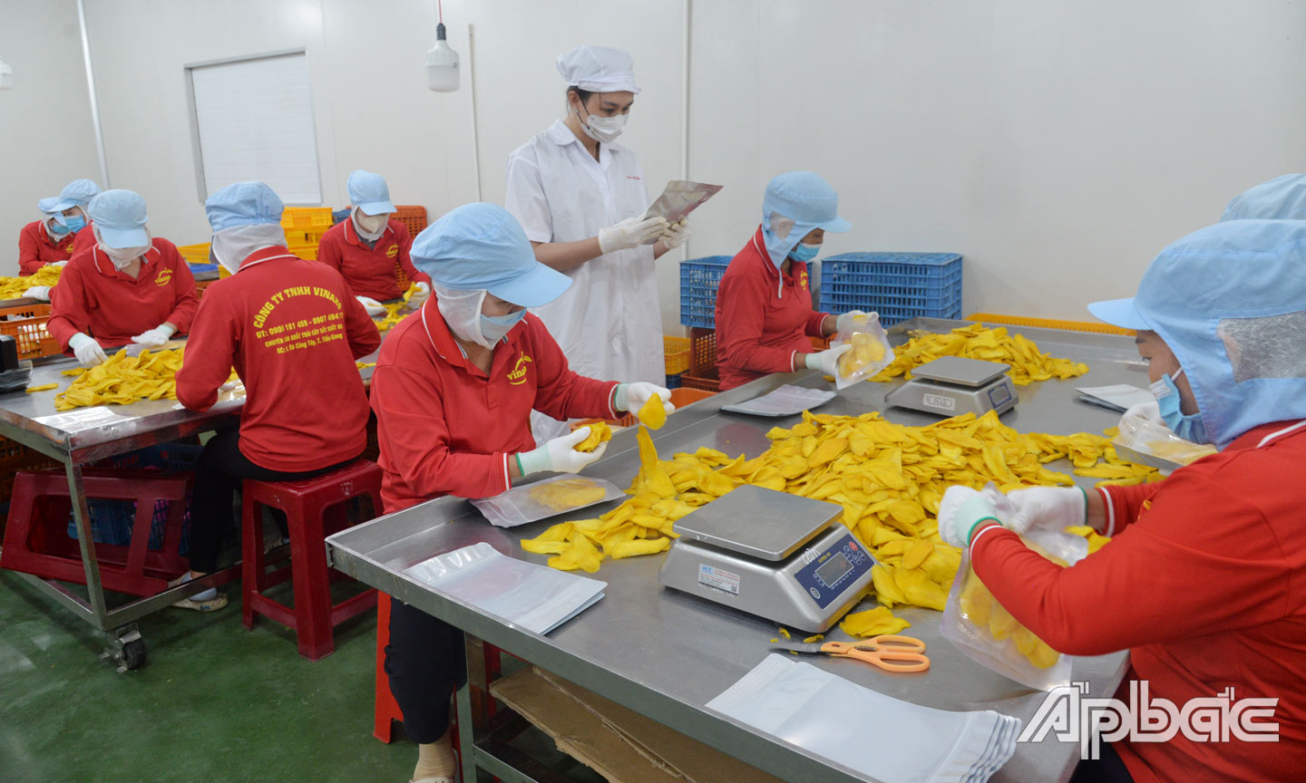  Chị Thu Thảo khởi nghiệp thành công, giải quyết việc làm và góp phần giải quyết đầu ra cho các loại trái cây tươi tại địa phương.