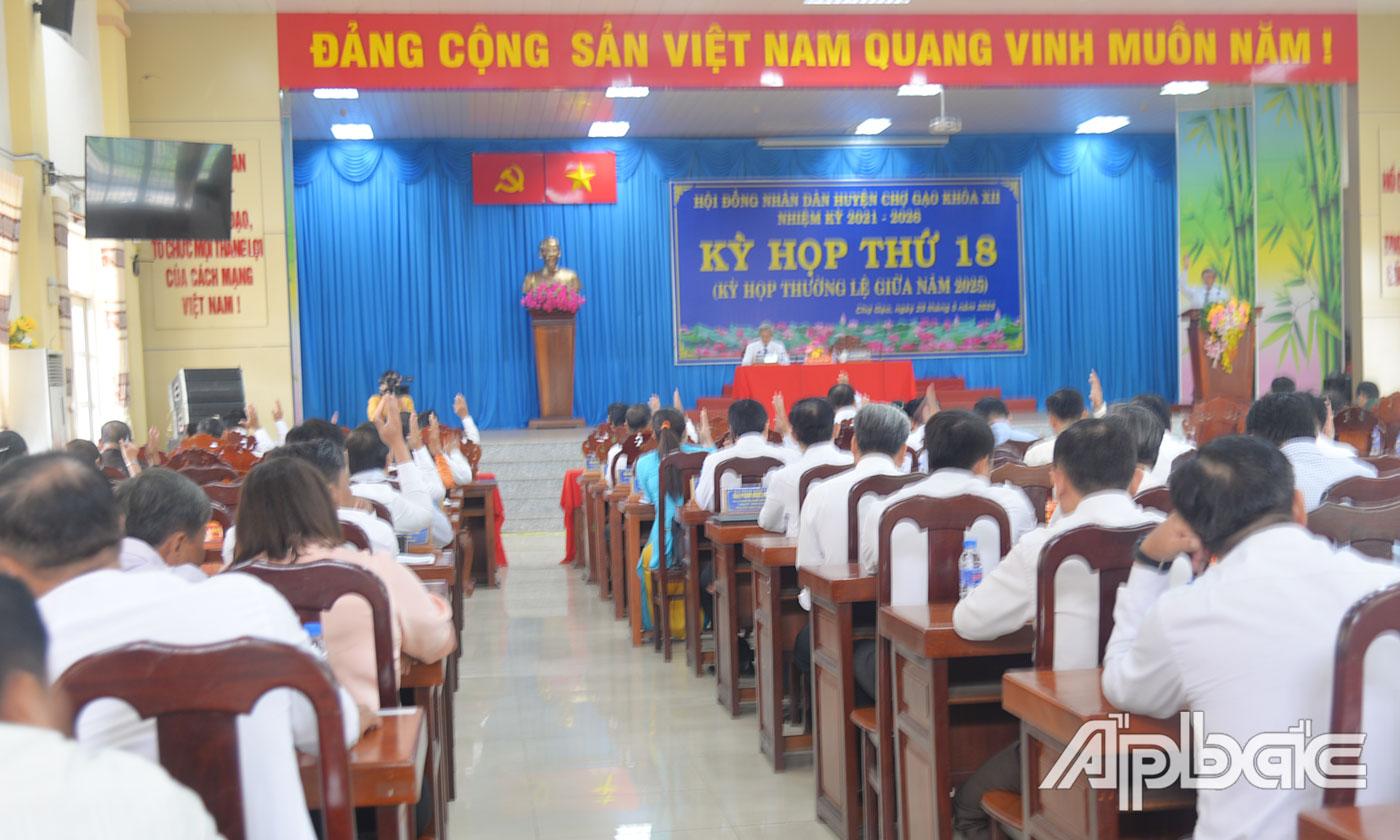 Đại biểu biểu quyết thông qua các Nghị quyết.