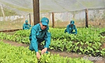 Tư tưởng Hồ Chí Minh - Nền tảng xây dựng Lực lượng vũ trang TX. Cai Lậy vững mạnh toàn diện