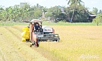 Bài 1: Tìm giải pháp đột phá cho cây lúa