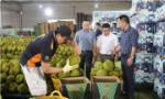 Giám sát toàn diện chuỗi sản xuất và xuất khẩu sầu riêng
