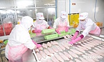 Tiền Giang đẩy mạnh phát triển kinh tế tư nhân