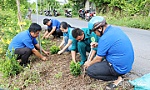 Thị trấn Bình Phú: Tuổi trẻ xung kích bảo vệ môi trường