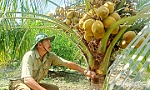 Cựu chiến binh gương mẫu, làm kinh tế giỏi