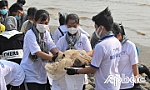 Nhiều hoạt động hưởng ứng Tuần lễ Biển và Hải đảo Việt Nam, Ngày Đại dương thế giới năm 2025