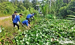 Tuổi trẻ huyện Cai Lậy: Tình nguyện vì cộng đồng, xung kích xây dựng quê hương