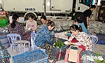 Tiền Giang: Giá ổi giảm sâu, nhà vườn gặp khó