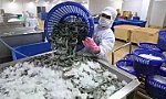 US issues preliminary decision on anti-dumping tariffs for Vietnamese shrimp