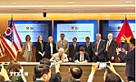Viet Nam, US look towards balanced and mutually beneficial trade
