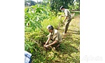 Cựu chiến binh gương mẫu xây dựng nông thôn mới