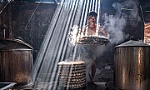 Vietnamese photographer wins World Food Photography Awards