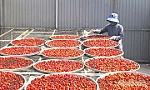 Nâng chất kinh tế nông thôn