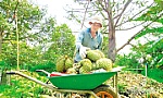 50 năm quê hương Châu Thành đổi mới, vươn lên