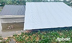 Tiền Giang: Sạt lở 1 nhà kho và 2 căn nhà trọ xuống kinh 28