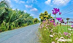 Khởi sắc xã nông thôn mới kiểu mẫu Tân Đông