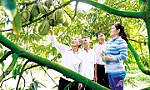 Tiền Giang sau 50 năm giải phóng: Nông nghiệp chuyển dịch mạnh mẽ