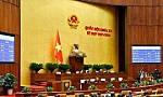 Law on Digital Technology Industry, amended Law on Chemicals adopted