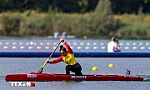 Vietnamese canoeists win 10 golds at regional tournaments