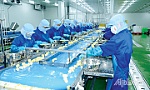Tiền Giang: Tín hiệu tích cực từ thu ngân sách