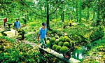 Tiền Giang: Phát huy lợi thế riêng