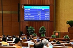 Quốc hội đồng ý rút ngắn thời gian thực hiện quy trình bầu cử