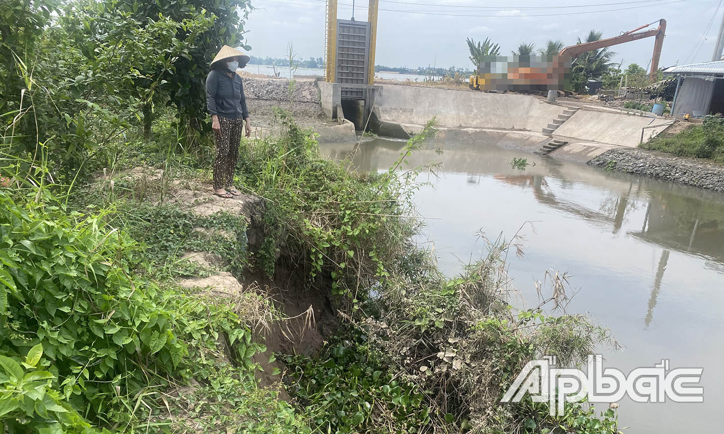Huyện Cai Lậy: Khẩn trương xử lý sạt lở giáp cống Tây Trắng sau phản ánh của Báo Ấp Bắc