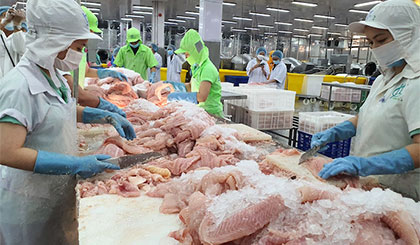 Mỹ miễn thuế xuất khẩu thêm 6 doanh nghiệp cá tra Việt Nam
