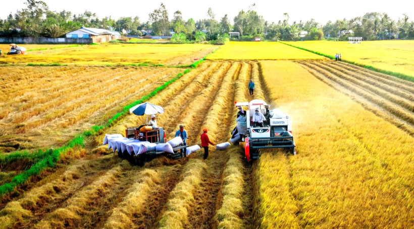 Động lực tăng trưởng mới