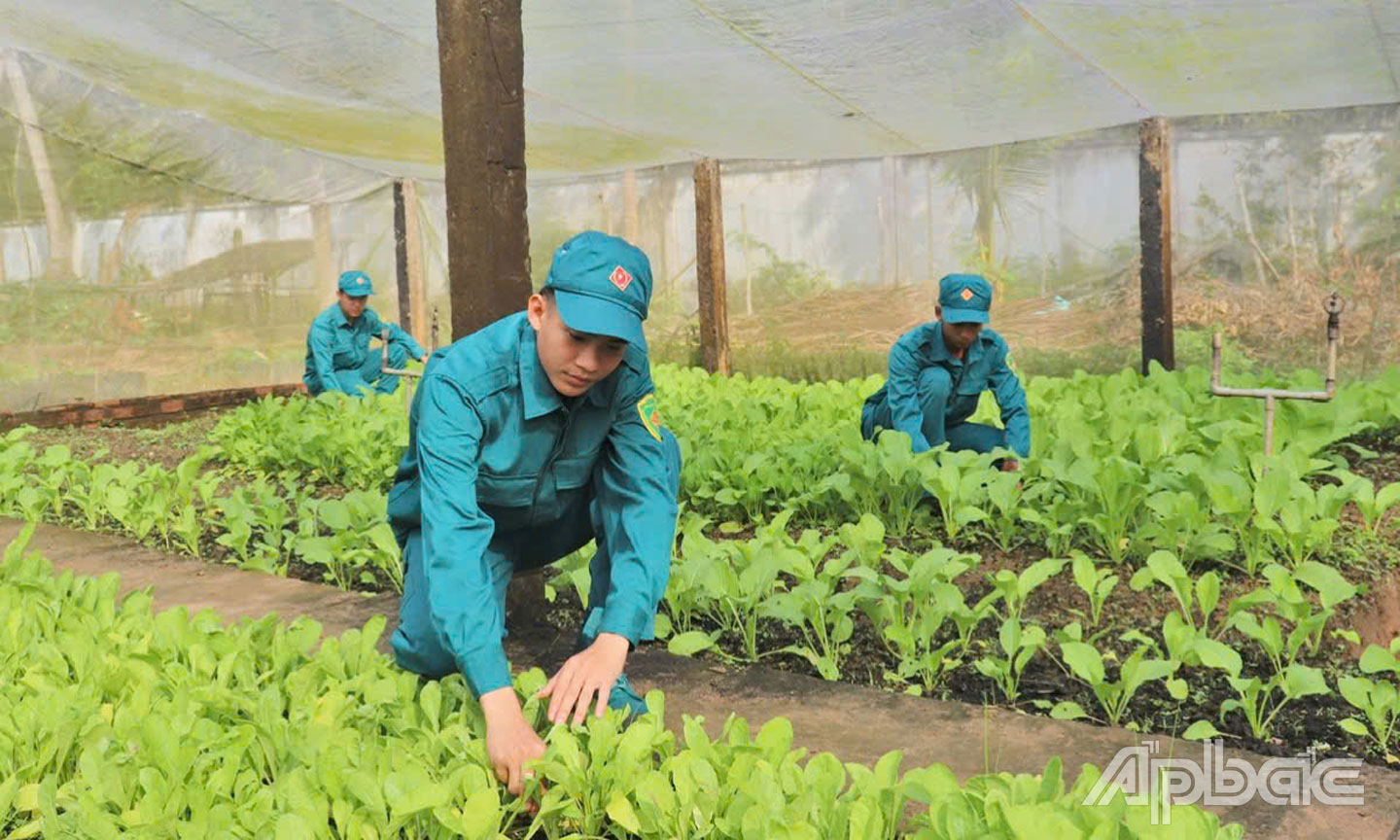 Lực lượng vũ trang thị xã tích cực lao động, tăng gia sản xuất theo lời Bác dạy.