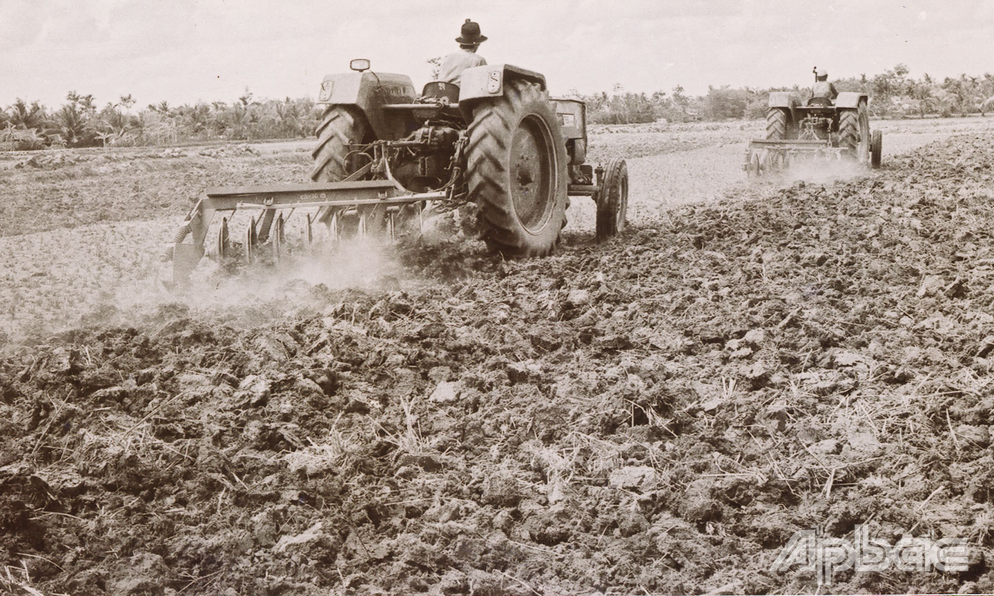 Nông dân xã Long Bình Điền, huyện Chợ Gạo cày trở đất năm 1977.                                                                                      Ảnh: Trần Biểu