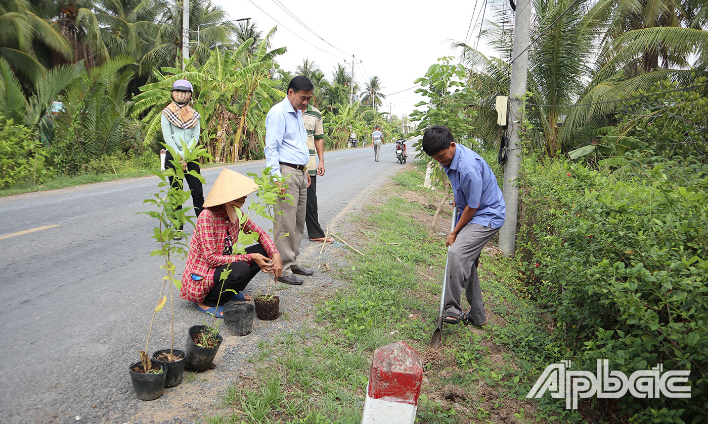 Chính quyền và nhân dân xã Bình Ninh trồng cây xanh các tuyến đường.
