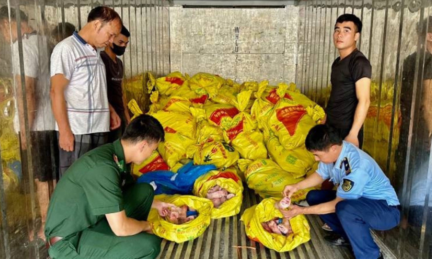 Các lực lượng chống buôn lậu gồm: Quản lý thị trường, Bộ đội biên phòng phát hiện, bắt giữ xe chở thực phẩm 
