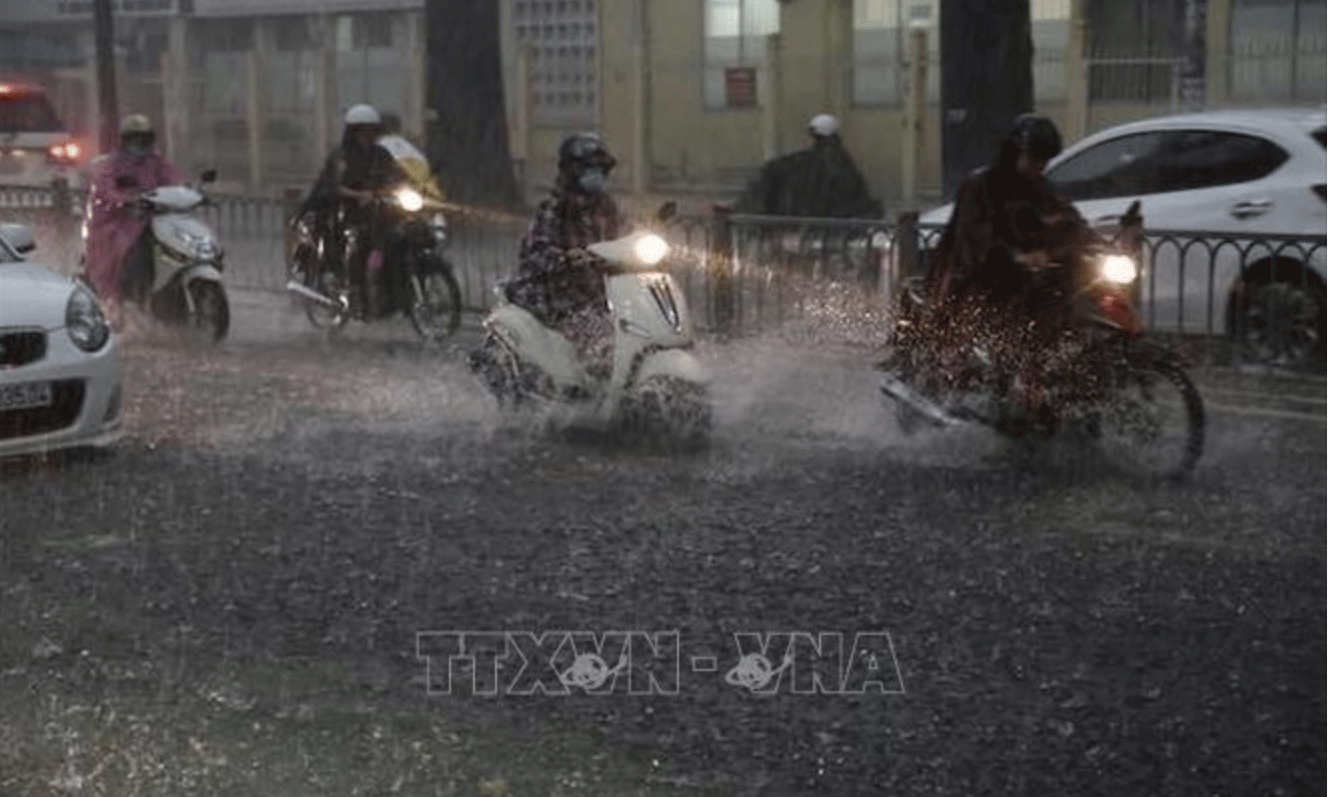 Ảnh minh họa: Hồng Giang/TTXVN