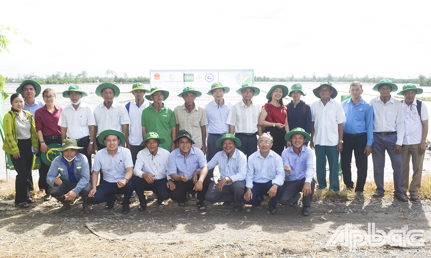 Các địa biểu tham quan trình diễn mô hình canh tác lúa chất  lượng  cao  và  giảm  phát  thải  -  giải pháp sạ hàng và kết hợp bón vùi phân.