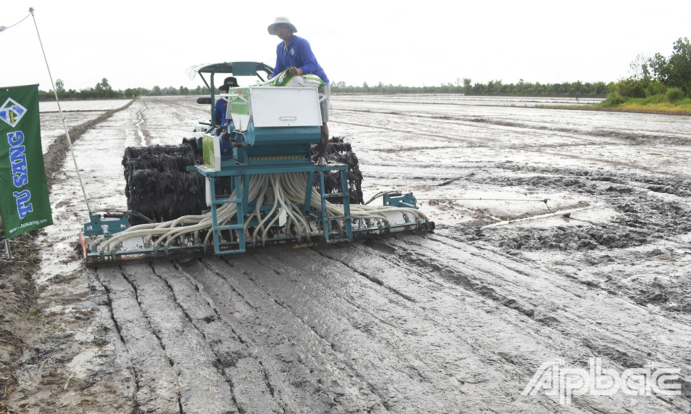Trình diễn mô hình canh tác lúa chất  lượng  cao  và  giảm  phát  thải  -  giải pháp sạ hàng và kết hợp bón vùi phân.