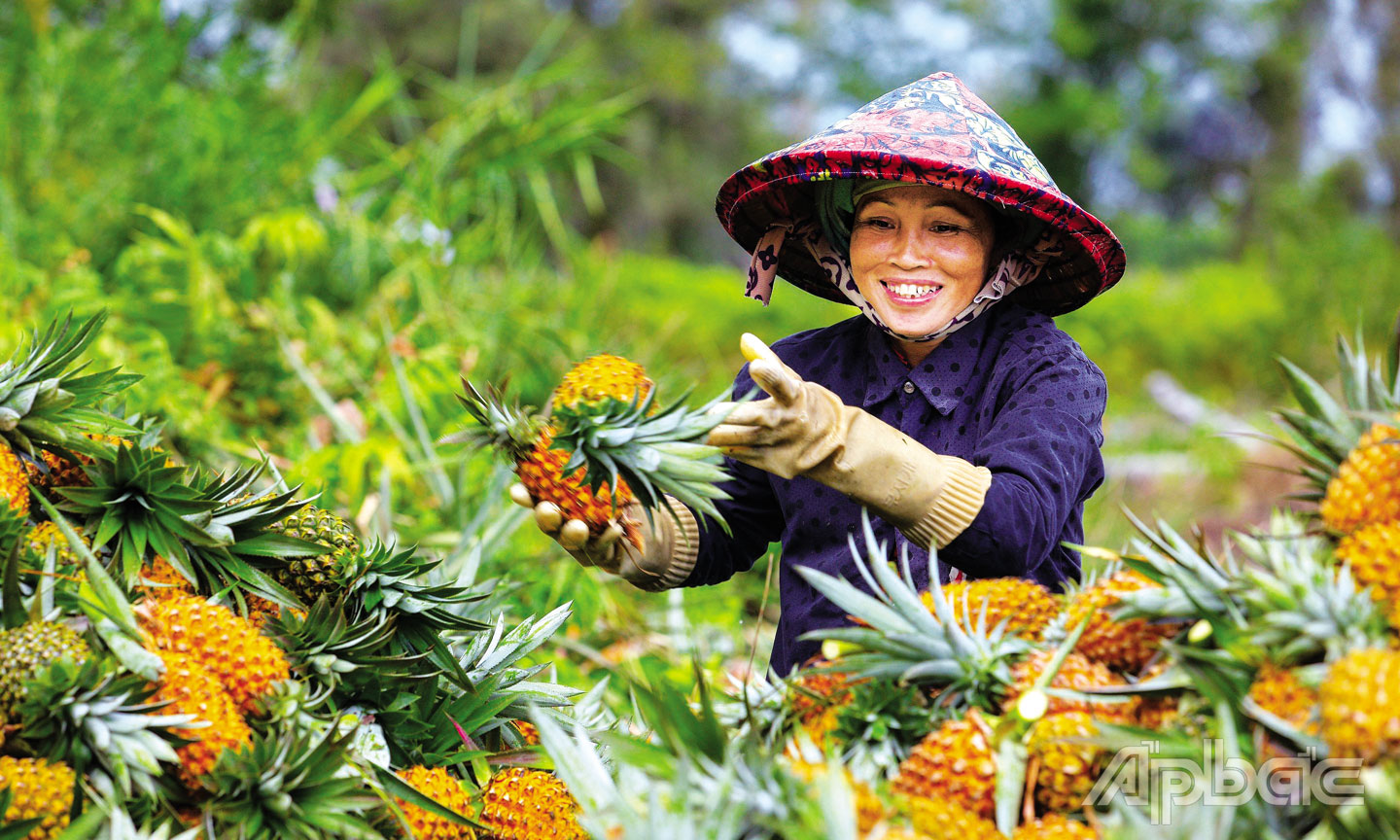Nền nông nghiệp Tiền Giang ngày càng phát triển, đem lại cuộc sống ấm no, sung túc cho người dân. Ảnh: TTVHTT&TT HUYỆN TÂN PHƯỚC