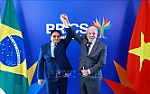 Việt Nam - Brazil tăng cường quan hệ song phương tương xứng với khuôn khổ quan hệ Đối tác chiến lược