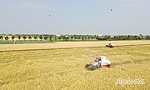 Ngành Nông nghiệp tỉnh Đồng Tháp: Phấn đấu hoàn thành chỉ tiêu tăng trưởng năm 2025