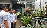 Cơ hội cho nghề trồng hoa lan phát triển
