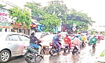 Cục Đường bộ Việt Nam làm chủ đầu tư Dự án 3 tuyến Quốc lộ kết nối vùng Đồng bằng sông Cửu Long