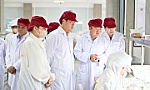 Đồng Tháp kiến tạo, đồng hành cùng doanh nghiệp