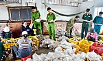 Công an xã Gia Thuận: Vượt khó, giữ vững an ninh, trật tự nơi cửa biển