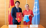 Viet Nam steps up engagement with UN in Vienna