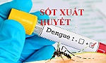 Thủ tướng yêu cầu tăng cường phòng, chống bệnh sốt xuất huyết