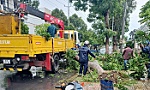 Tỉnh Đồng Tháp: Mưa dông gây thiệt hại khu vực phía Đông