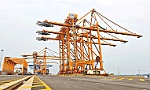 Xuất khẩu cuối năm: Doanh nghiệp chủ động thích ứng để giữ vững thị trường