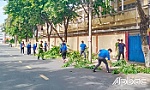 Phường Long Thuận: Ra quân Ngày Chủ nhật xanh