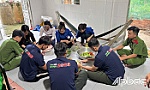 Tuổi trẻ phường Sơn Qui: Tổ chức các hoạt động tri ân