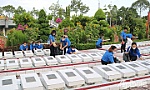 Có một mùa tri ân không lời